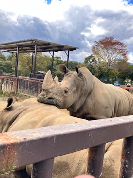 那須サファリパークに投稿された画像（2022/10/30）