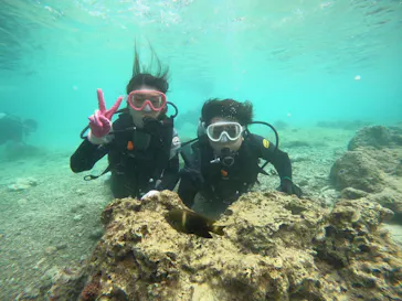 武藤潜水に投稿された画像（2022/10/30）