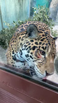 天王寺動物園に投稿された画像（2022/10/30）