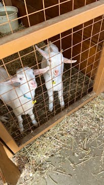 ワールド牧場に投稿された画像（2022/10/30）