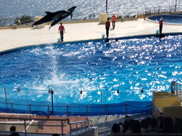 マリンワールド海の中道に投稿された画像（2022/10/30）