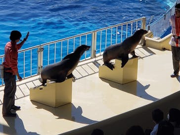 マリンワールド海の中道に投稿された画像（2022/10/30）