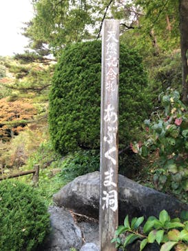 あぶくま洞に投稿された画像（2022/10/30）