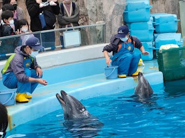 名古屋港水族館に投稿された画像（2022/10/30）