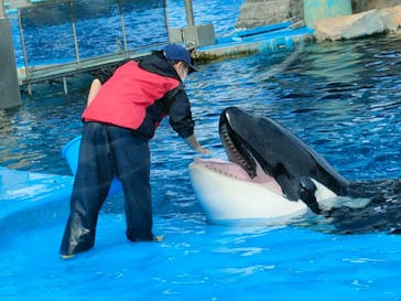 名古屋港水族館に投稿された画像（2022/10/30）