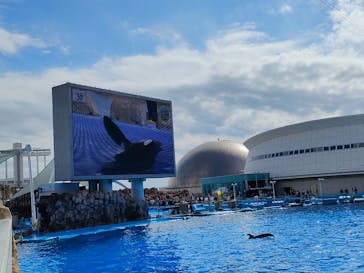 名古屋港水族館に投稿された画像（2022/10/30）