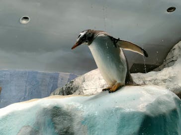 名古屋港水族館に投稿された画像（2022/10/30）