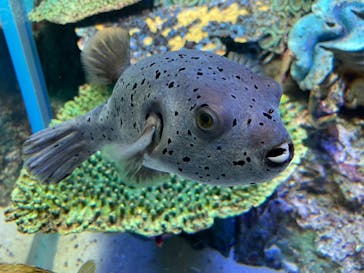 サンシャイン水族館に投稿された画像（2022/10/30）