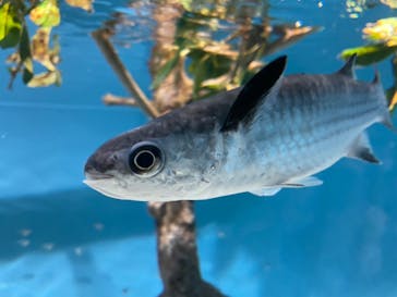 サンシャイン水族館に投稿された画像（2022/10/30）