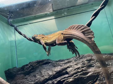 サンシャイン水族館に投稿された画像（2022/10/30）