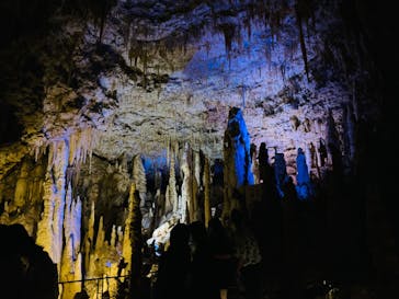 おきなわワールドに投稿された画像（2022/10/30）