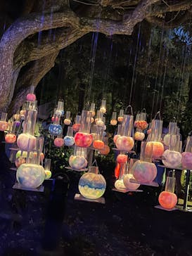 江の島シーキャンドルに投稿された画像（2022/10/30）