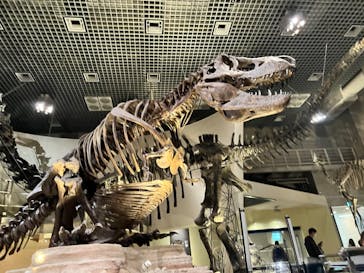 国立科学博物館に投稿された画像（2022/10/30）