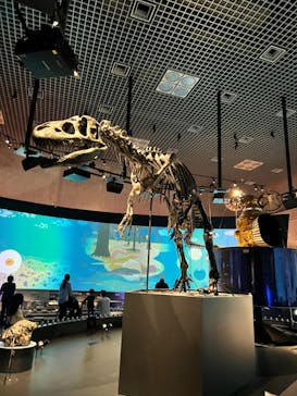 国立科学博物館に投稿された画像（2022/10/30）