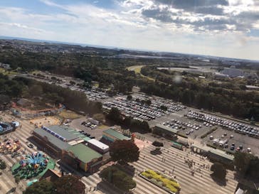 国営ひたち海浜公園プレジャーガーデンに投稿された画像（2022/10/30）