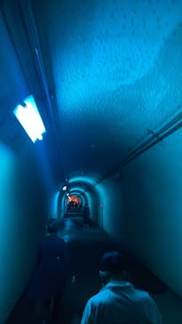 清津峡渓谷トンネルに投稿された画像（2022/10/30）