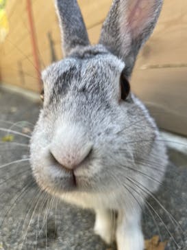 群馬サファリパークに投稿された画像（2022/10/30）