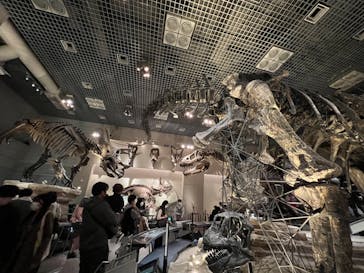 国立科学博物館に投稿された画像（2022/10/30）
