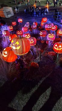 NESTA RESORT KOBE（ネスタリゾート神戸）に投稿された画像（2022/10/30）