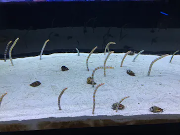 すみだ水族館に投稿された画像（2022/10/30）