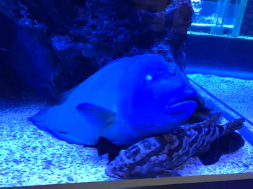 すみだ水族館に投稿された画像（2022/10/30）