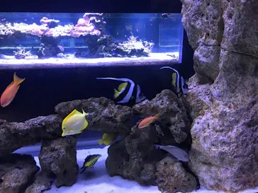 すみだ水族館に投稿された画像（2022/10/30）