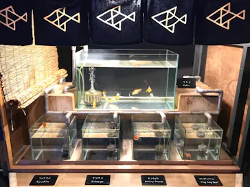 すみだ水族館に投稿された画像（2022/10/30）