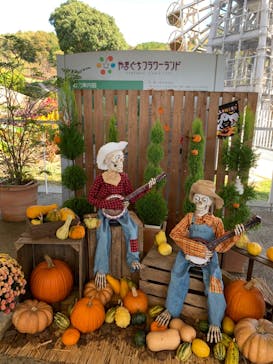 やまぐちフラワーランドに投稿された画像（2022/10/30）