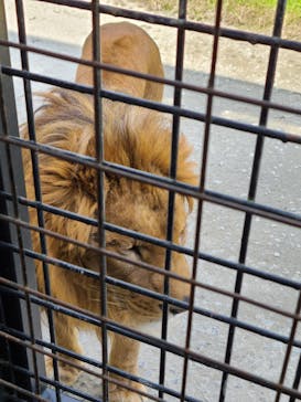 那須サファリパークに投稿された画像（2022/10/30）