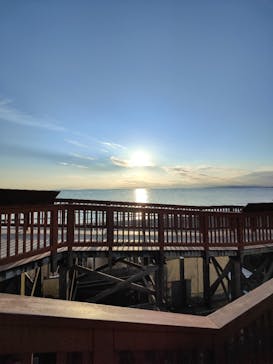 新江ノ島水族館に投稿された画像（2022/10/30）