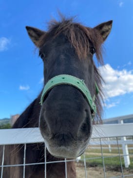 ワールド牧場に投稿された画像（2022/10/30）