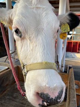 ワールド牧場に投稿された画像（2022/10/30）