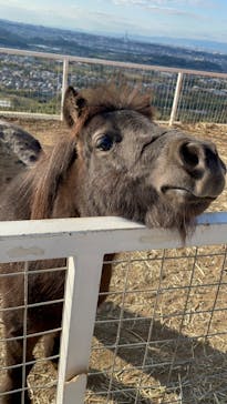 ワールド牧場に投稿された画像（2022/10/30）