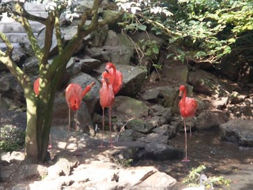 伊豆シャボテン動物公園に投稿された画像（2022/10/30）