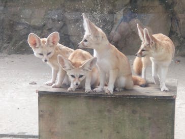 伊豆シャボテン動物公園に投稿された画像（2022/10/30）
