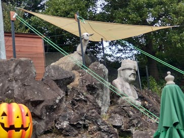 伊豆シャボテン動物公園に投稿された画像（2022/10/30）