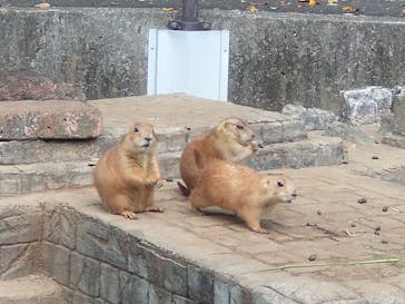 伊豆シャボテン動物公園に投稿された画像（2022/10/30）