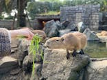 伊豆シャボテン動物公園に投稿された画像（2022/10/31）