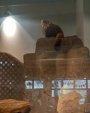 ネオパークオキナワに投稿された画像（2022/10/30）