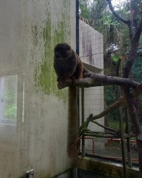 ネオパークオキナワに投稿された画像（2022/10/30）