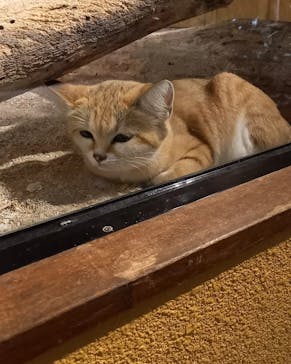 ネオパークオキナワに投稿された画像（2022/10/30）