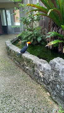 ネオパークオキナワに投稿された画像（2022/10/30）