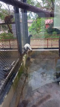 ネオパークオキナワに投稿された画像（2022/10/30）