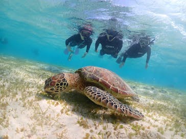 ちゃこたびに投稿された画像（2022/10/30）