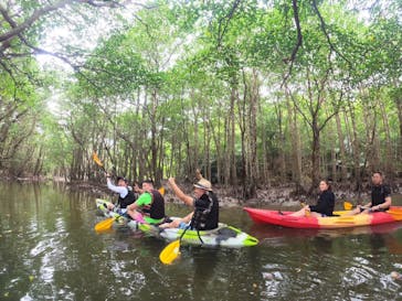 西表島 ADVENTURE PiPi（アドベンチャーピピ）に投稿された画像（2022/10/31）