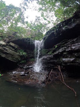 西表島 ADVENTURE PiPi（アドベンチャーピピ）に投稿された画像（2022/10/31）