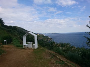 ACAO FORESTに投稿された画像（2022/10/31）