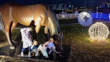 東京メガイルミに投稿された画像（2022/10/31）