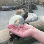 横浜・八景島シーパラダイスに投稿された画像（2022/10/31）