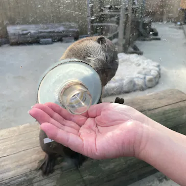 横浜・八景島シーパラダイスに投稿された画像（2022/10/30）